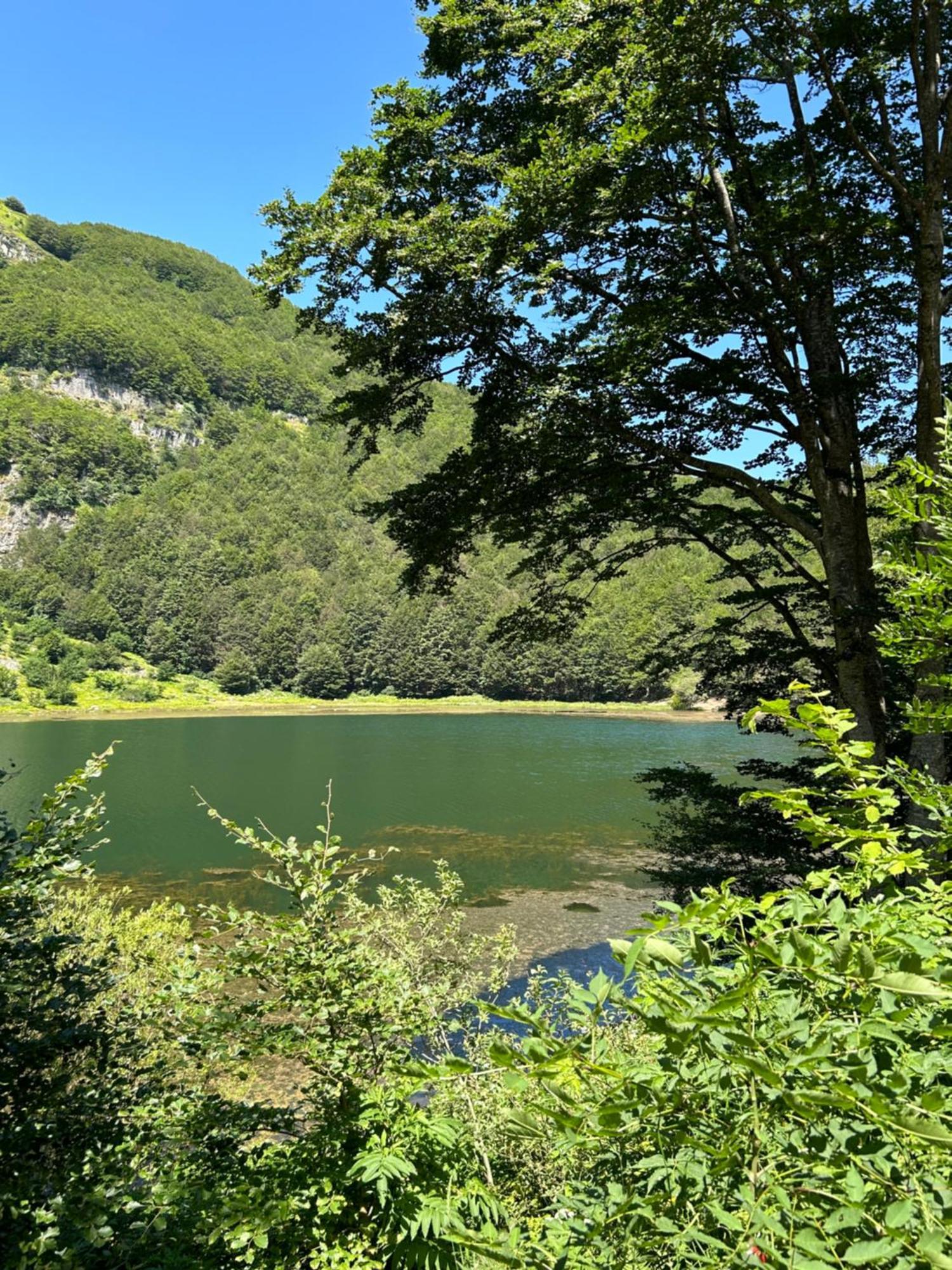 Da Cinzia Daire Pievepelago Dış mekan fotoğraf